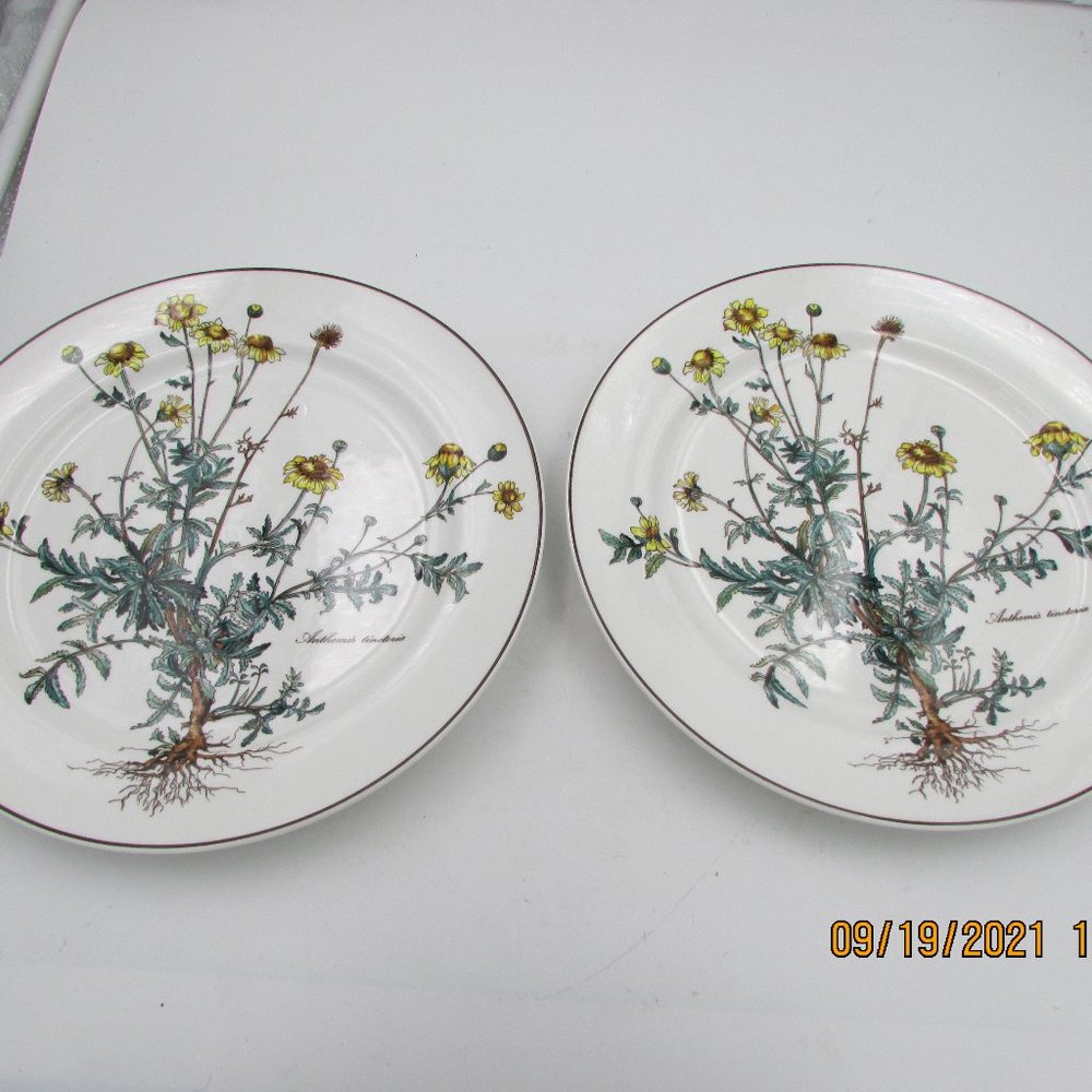 2 Villeroy & Boch Botanica Dinner Plates 10 1/4" Golden Marguerite Daisy
